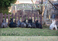 Scotch Terrier Kalender 2012 Dezember